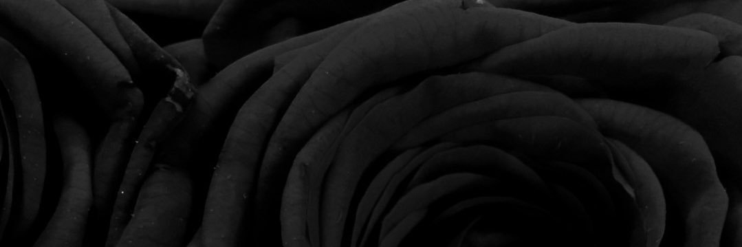 arissabritt's profile banner image