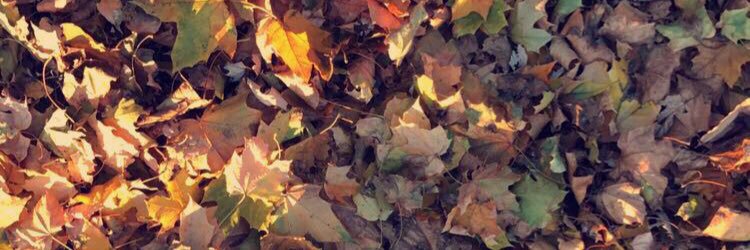 EmilyyHuntley's profile banner image