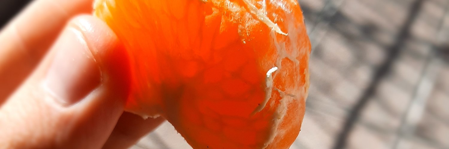 JuliGarro_10's profile banner image