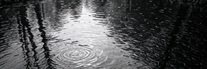 Driplett's profile banner image
