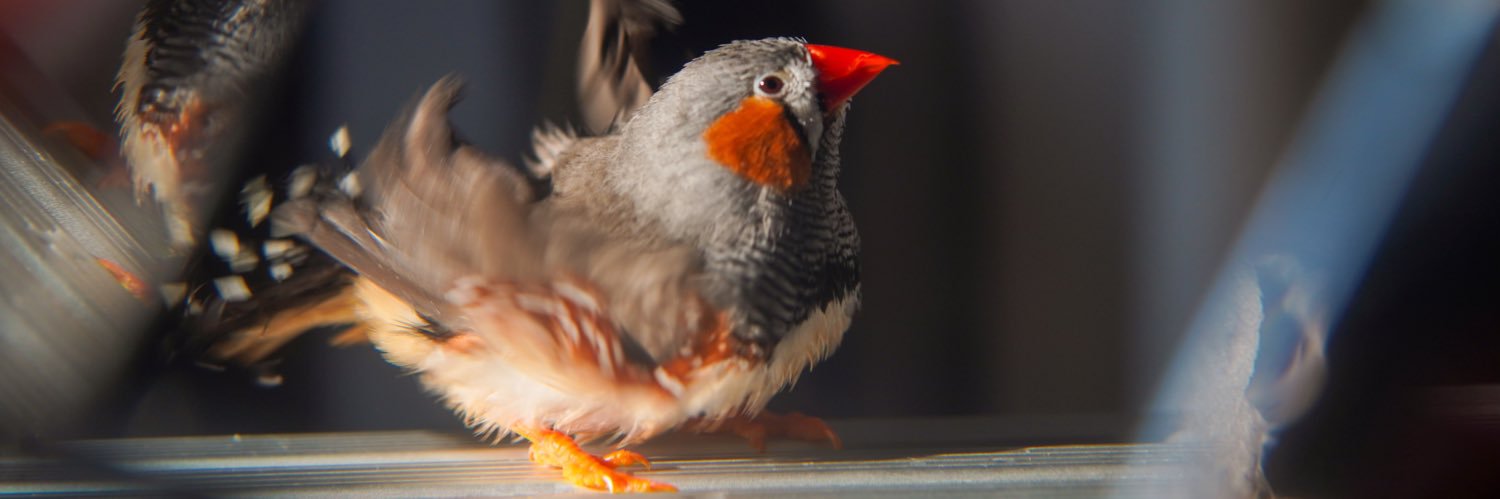 Kate Snyder, PhD banner