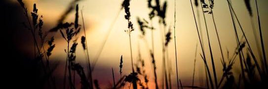 AnaCris936's profile banner image