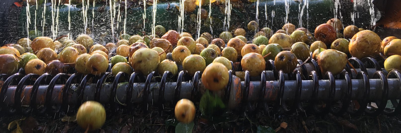 Severn Cider banner