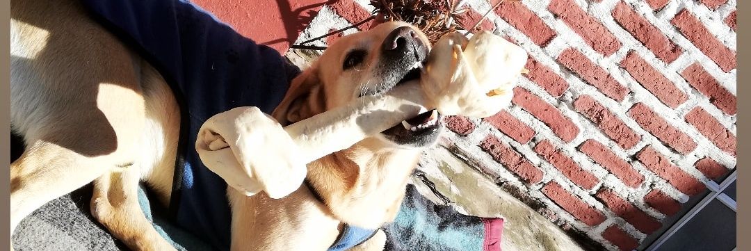 Sr. Mendoza 🎺 banner