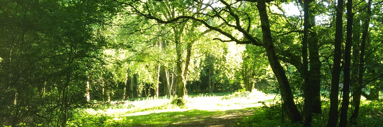 HilaryG03's profile banner image