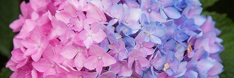 ioxytocin's profile banner image