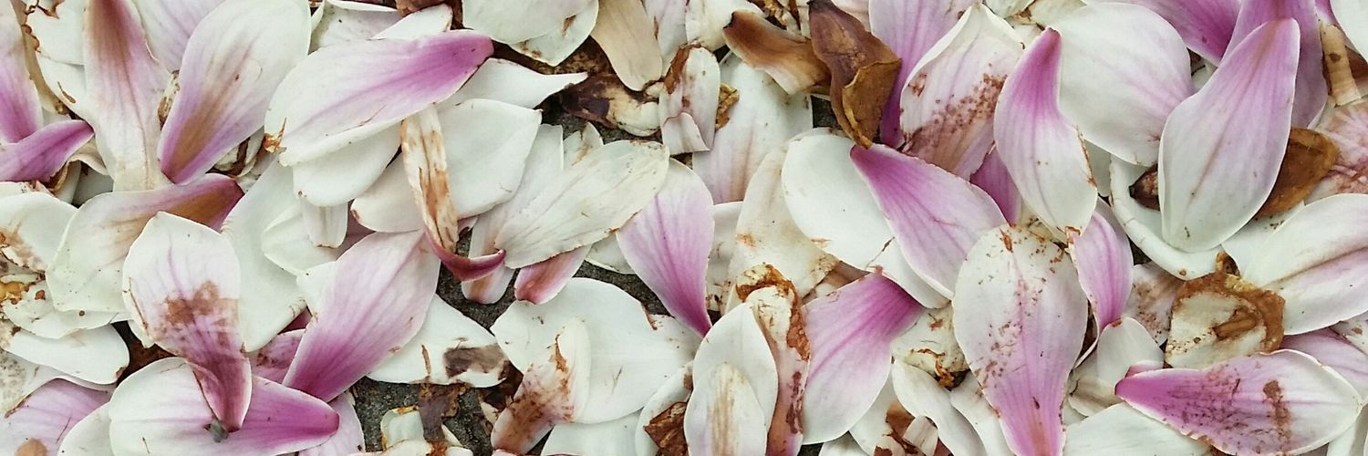 ichbinhaidy's profile banner image
