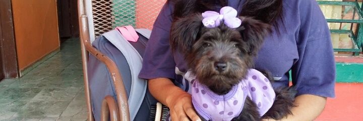 KellyLeon_'s profile banner image