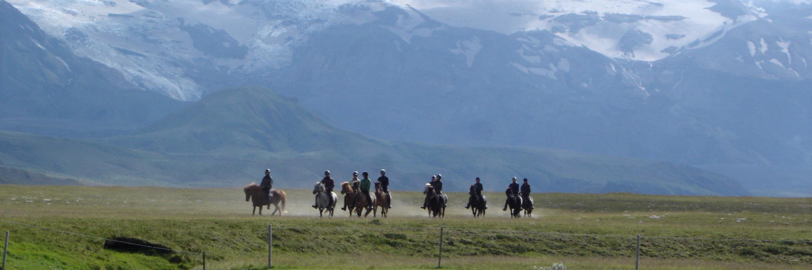 Kristina Kia Höök banner