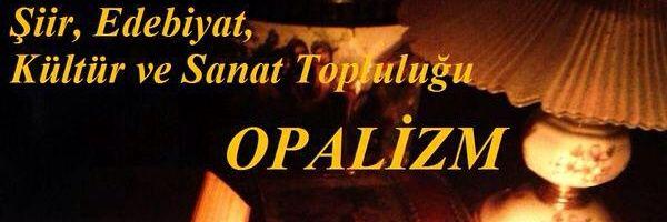 opalizm's profile banner image