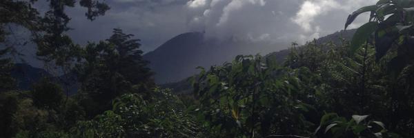 HokeCSU Profile Banner