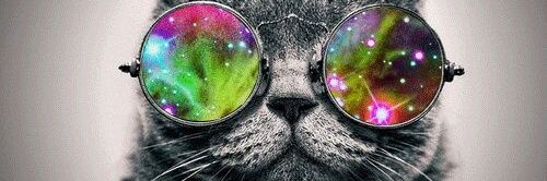 MiluuGinelli's profile banner image