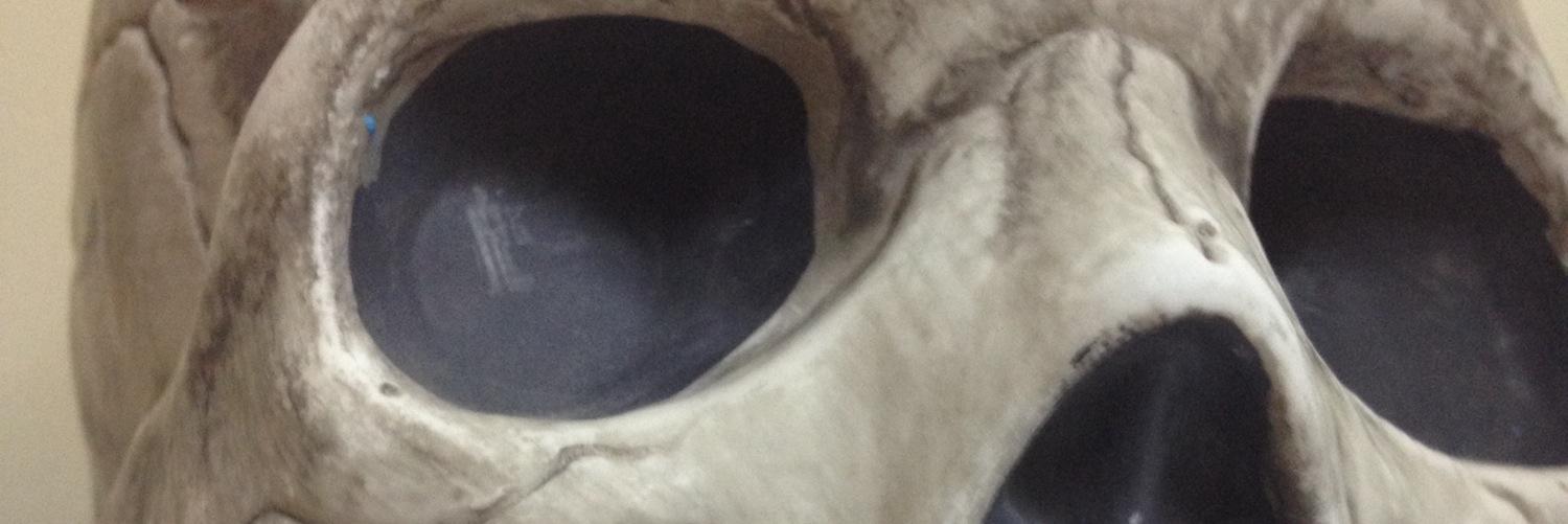 cesarlitul's profile banner image