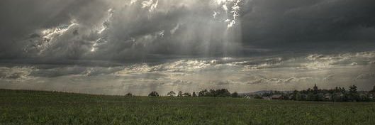 maculaicolkin's profile banner image