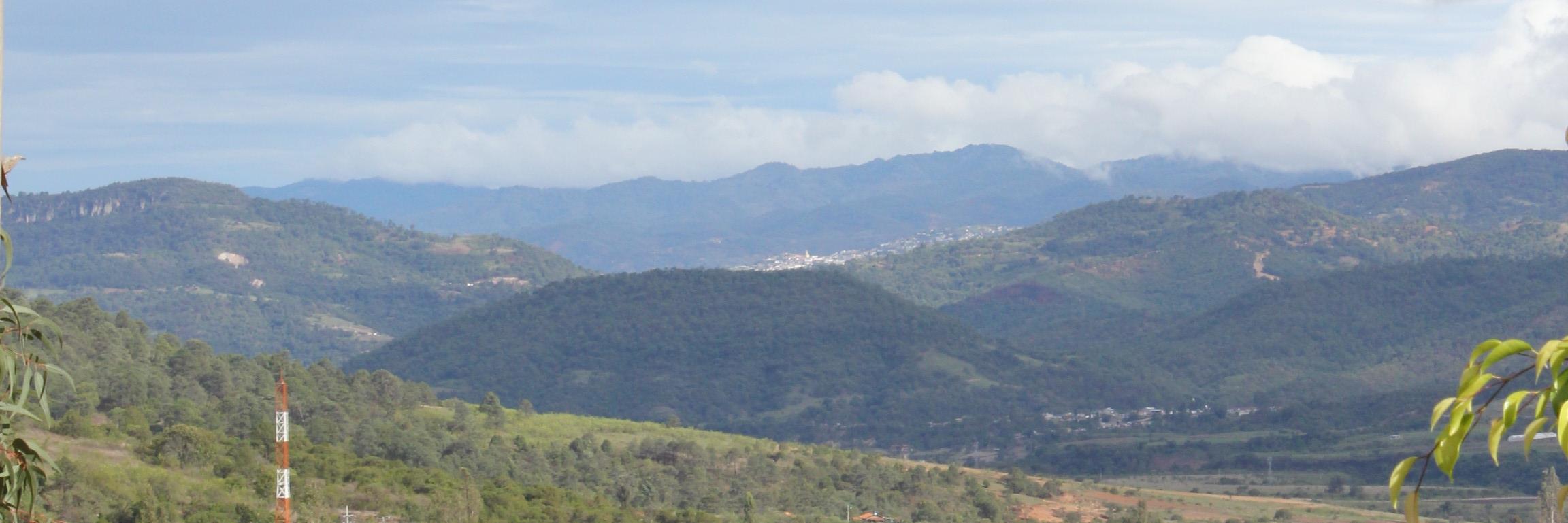 BAHSsebastiani's profile banner image