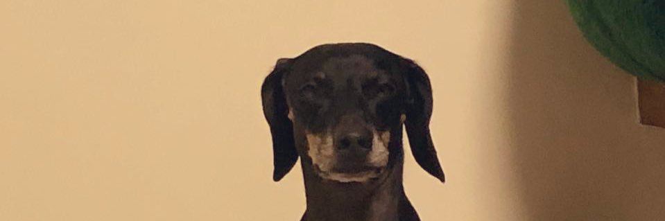 292Pam's profile banner image