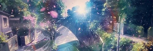 CharlotteTilli3's profile banner image