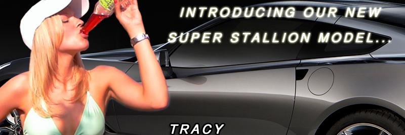 Super Stallion banner