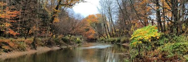 fiona_lambe Profile Banner