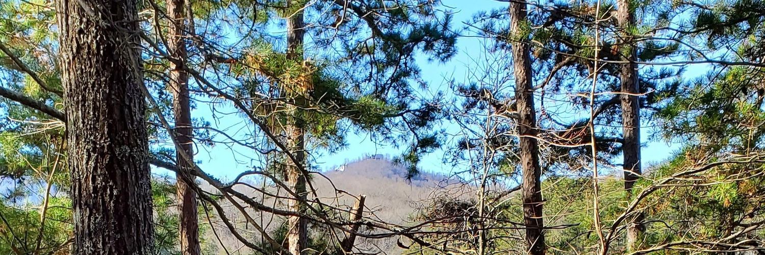 TTN_1997's profile banner image