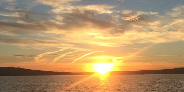 Terrick Wilderman banner