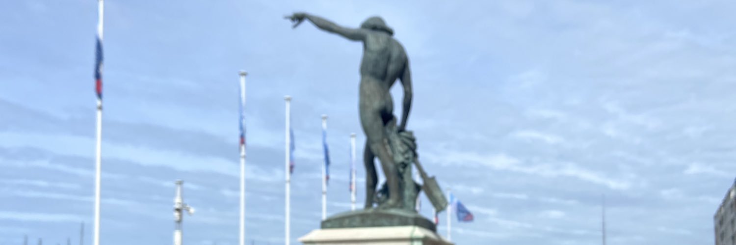 Parti Socialiste - Toulon banner