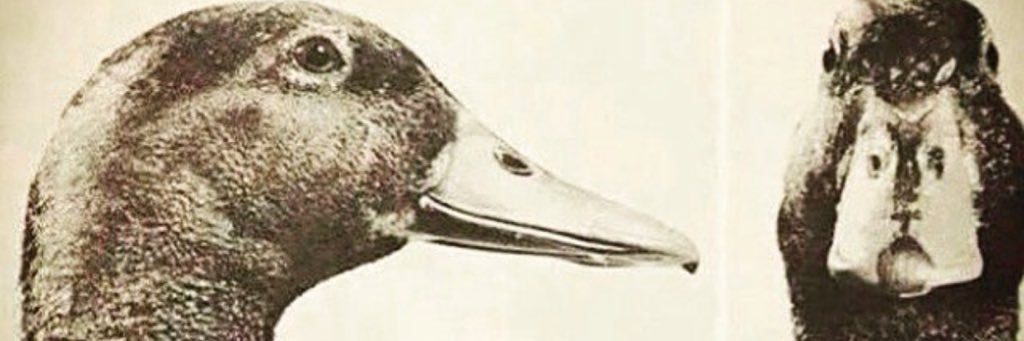DrewMays6's profile banner image