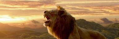 Marcos_One254 banner