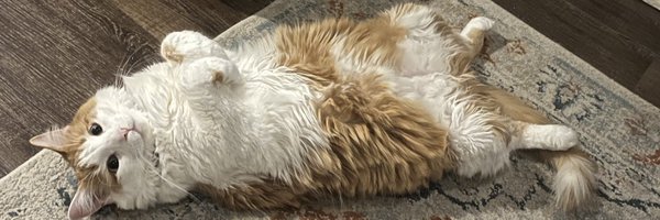 chrisbarness8 Profile Banner