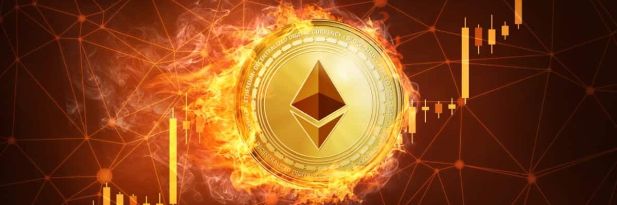 warrior_eth's profile banner image