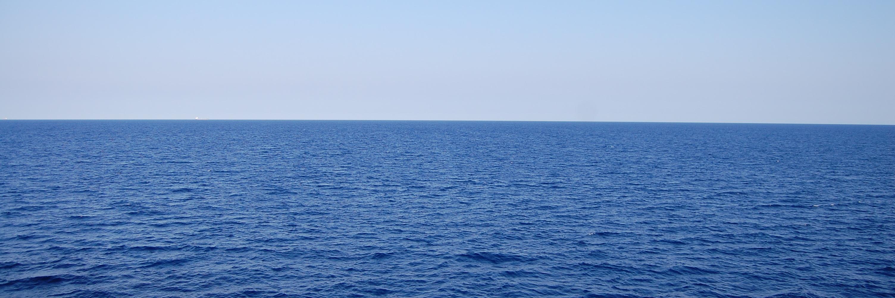 twittFliy's profile banner image