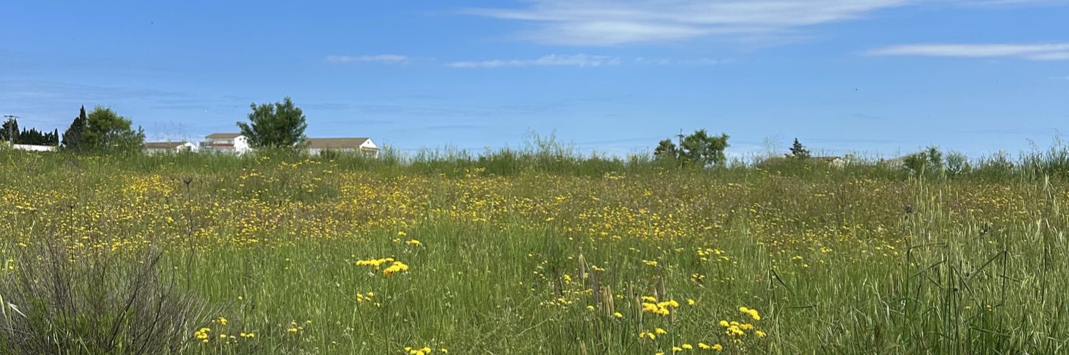 dafv06's profile banner image