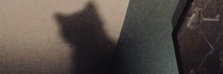 blurryfeiz's profile banner image
