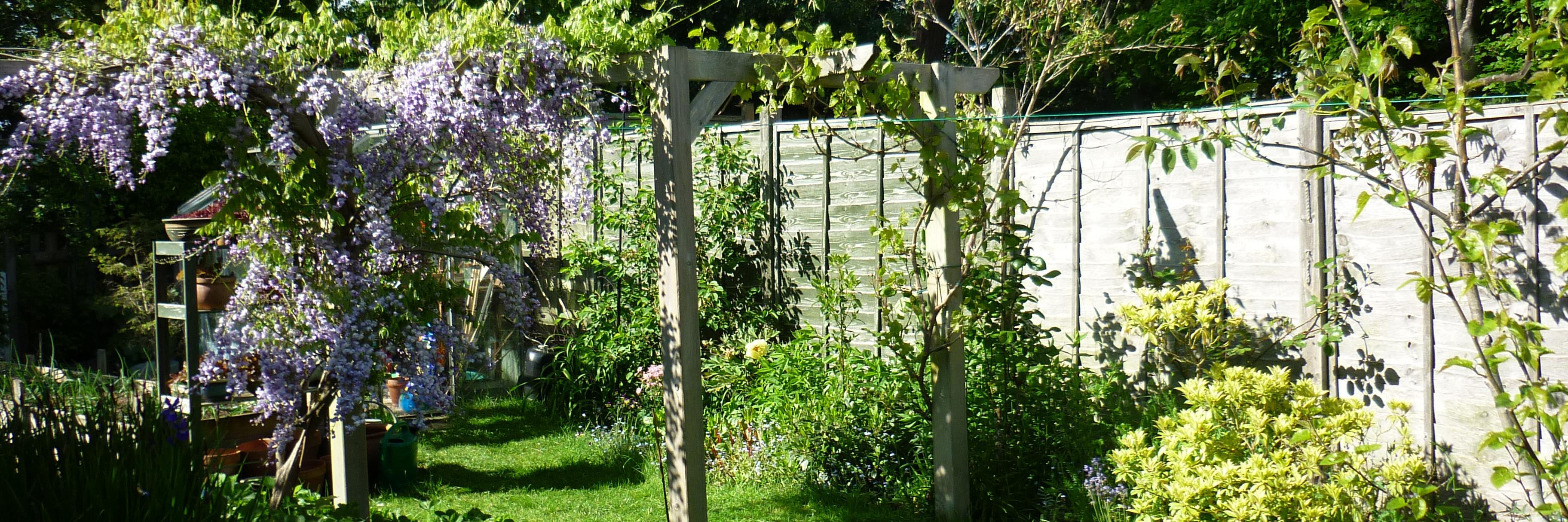 GraemeFife's profile banner image
