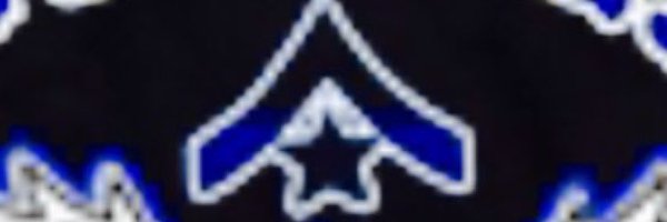 streetdogsband Profile Banner