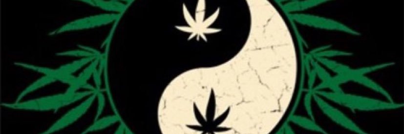 da_boyy1's profile banner image