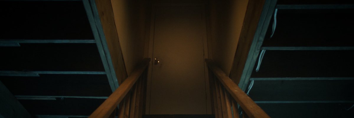onmydeadturtle's profile banner image