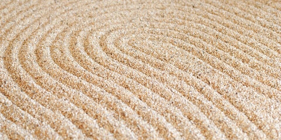 alberto rocha banner