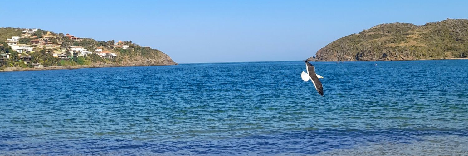 torlica14's profile banner image