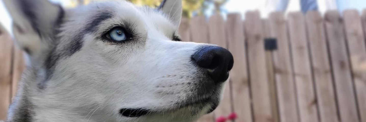 Brandon_Ek's profile banner image