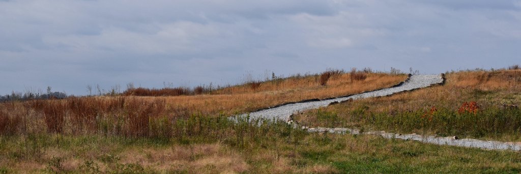 ESA Restoration banner