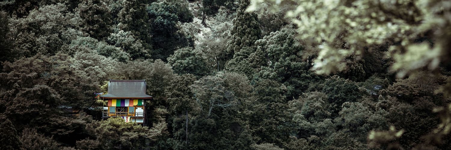 tunggogo's profile banner image