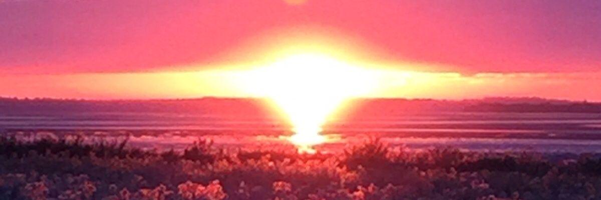 Chris F banner