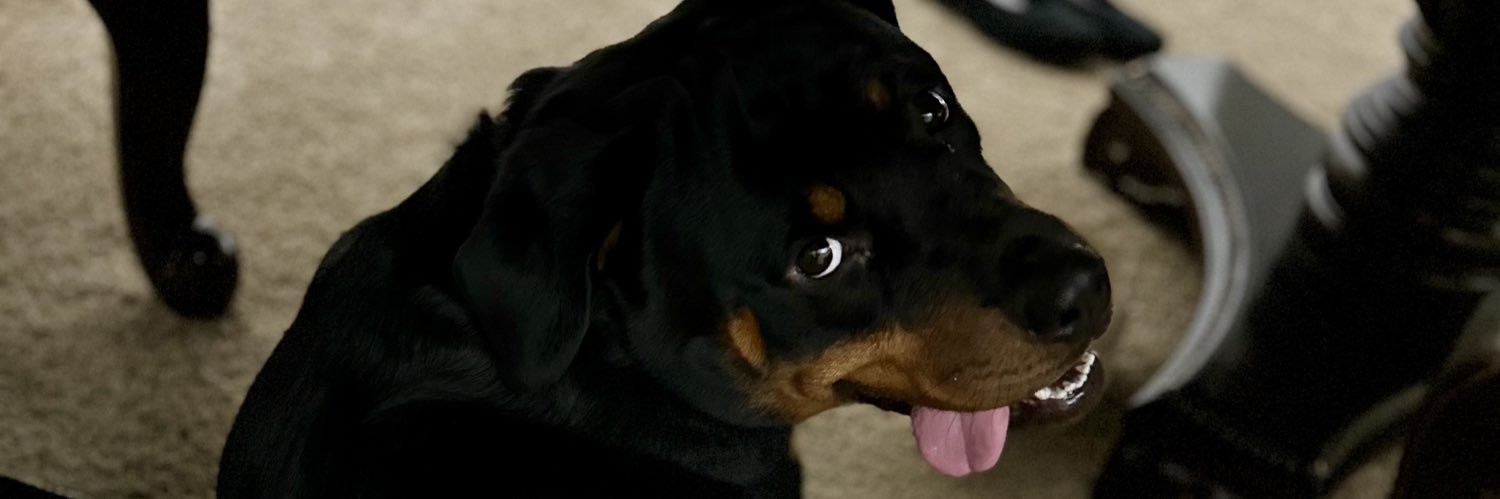 Silverstunner's profile banner image