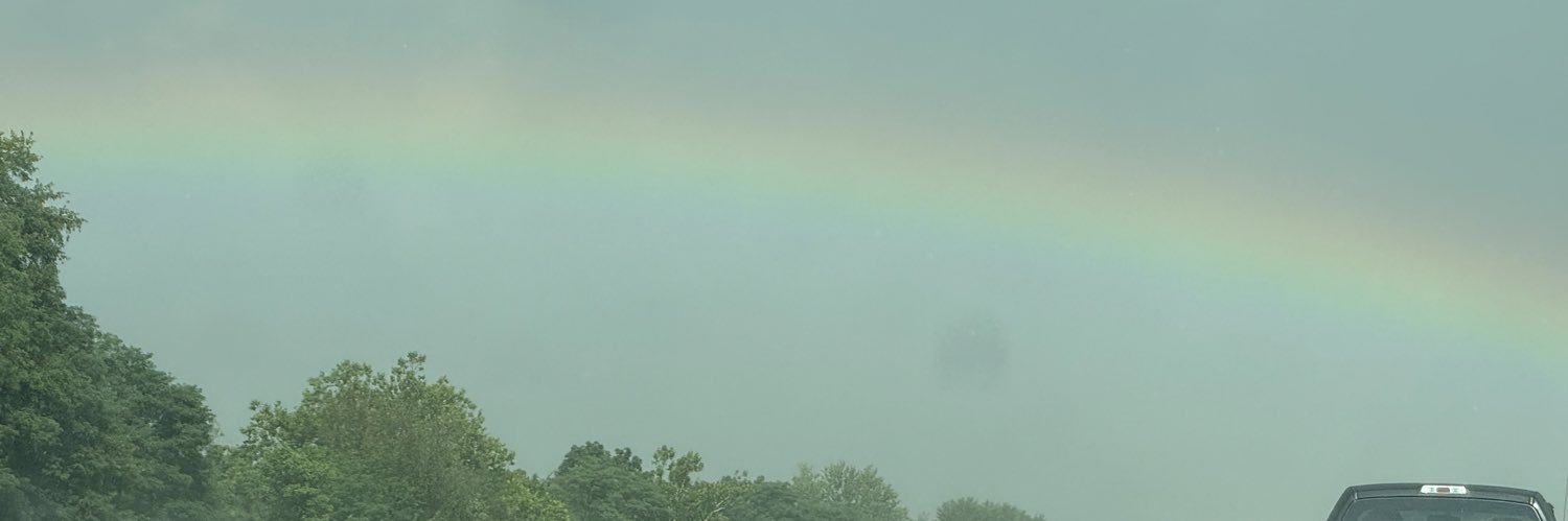 Tay_Bear5's profile banner image