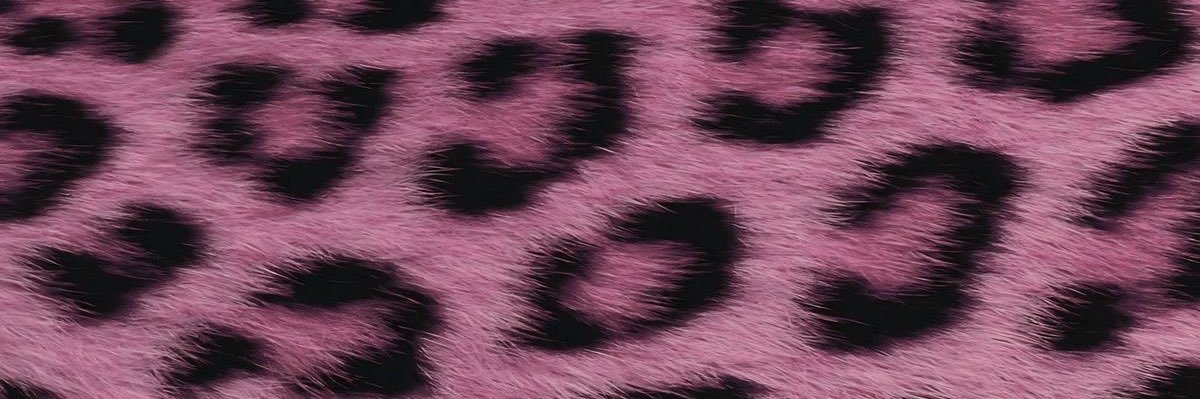 yun banner