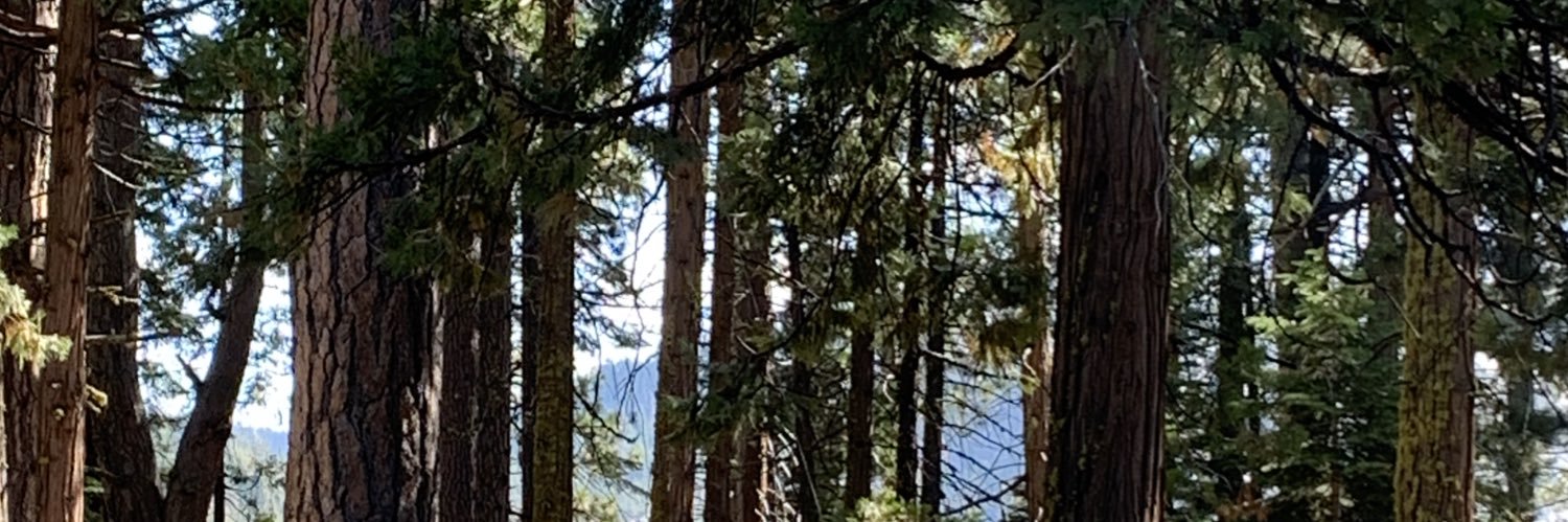 TamaraJBH's profile banner image