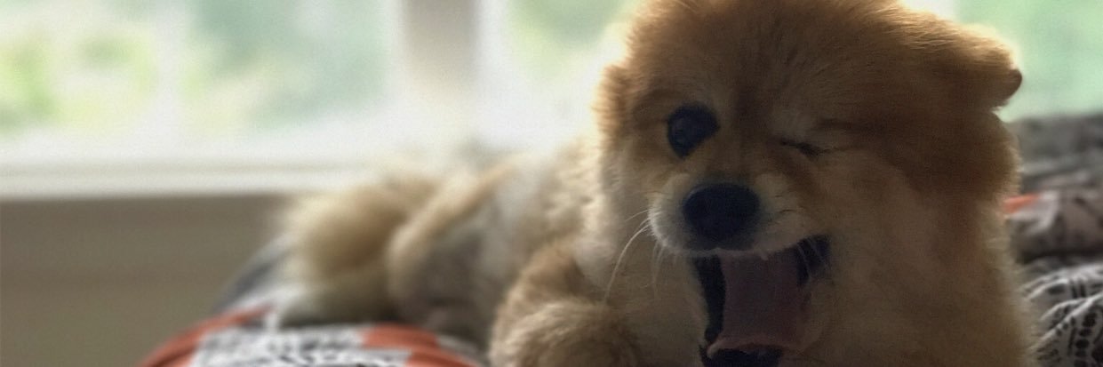 peytonlawing's profile banner image