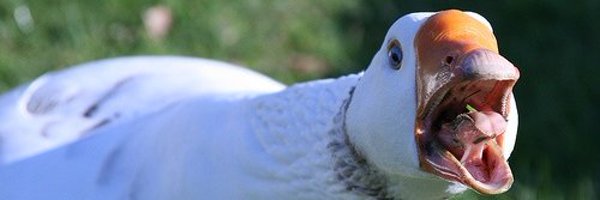 sndurlauf Profile Banner