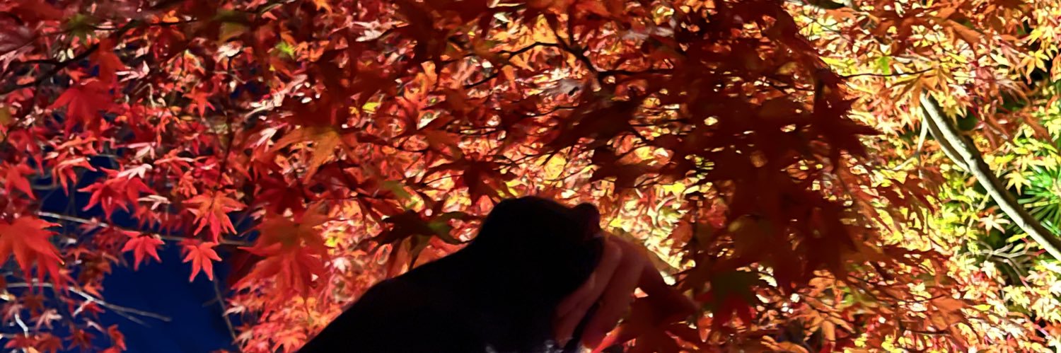 son_basuke's profile banner image
